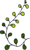 c0128652_2347202.png
