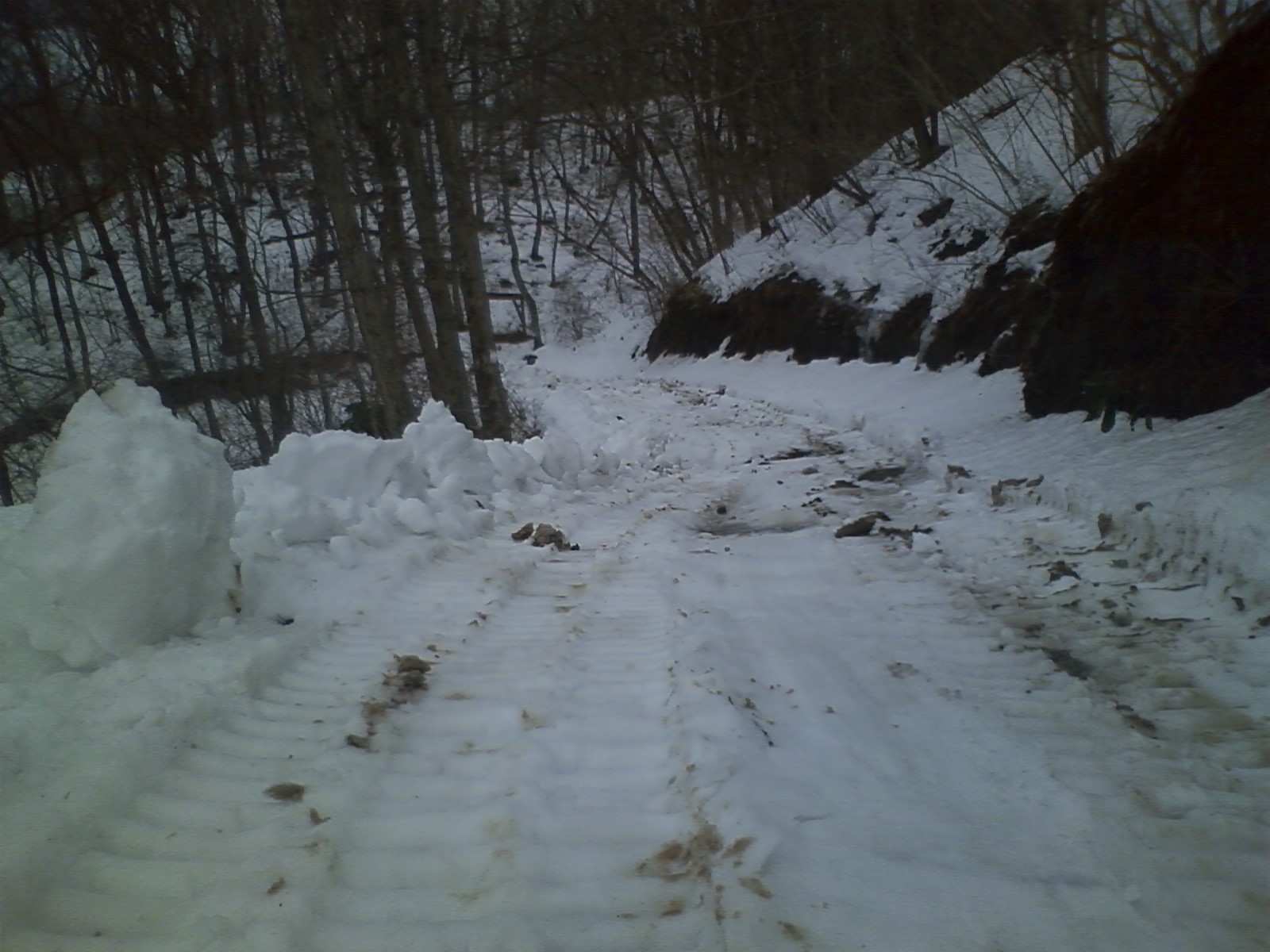 c0042655_2273314.jpg