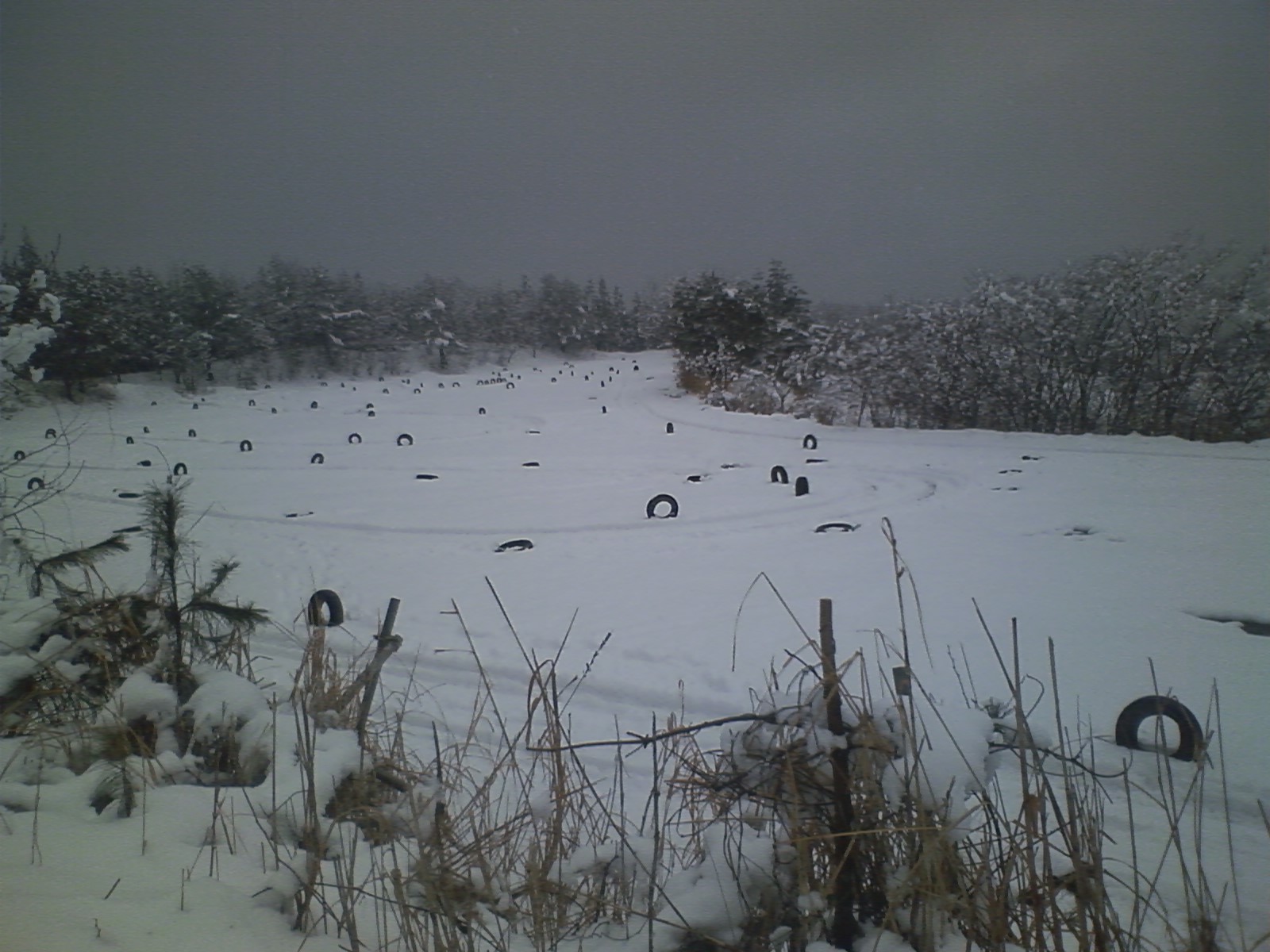 c0042655_2274239.jpg