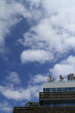 f0214858_2115692.jpg
