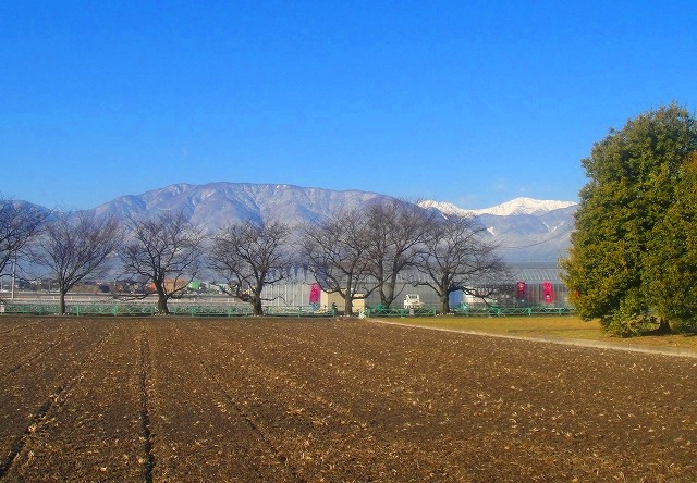 c0119160_744059.jpg