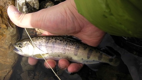 f0163561_19281632.jpg