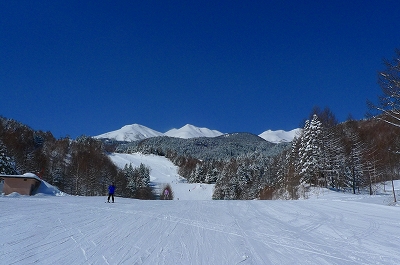 f0182173_1341971.jpg