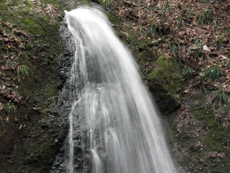 c0019376_2113131.jpg
