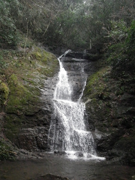 c0019376_21265990.jpg