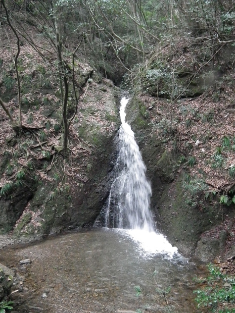 c0019376_2191550.jpg