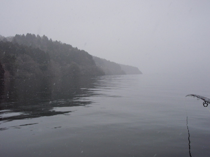 f0199881_21115852.jpg