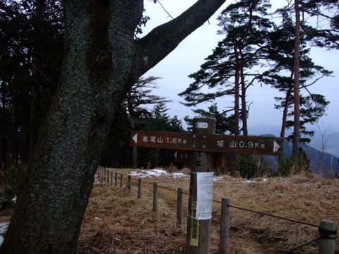 a0043982_1044932.jpg
