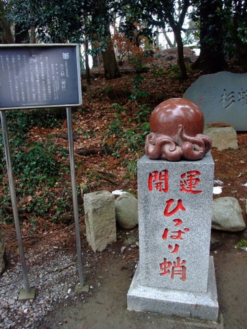 a0043982_157479.jpg