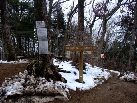 a0043982_1585541.jpg