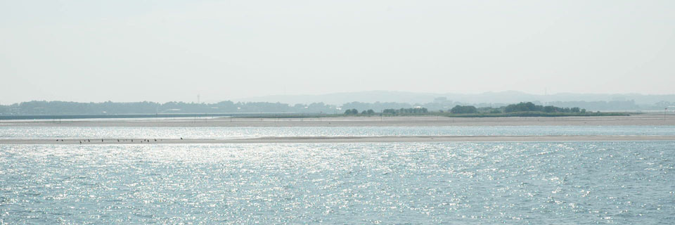 c0170789_20283987.jpg