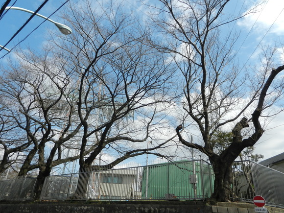 d0224990_21325951.jpg
