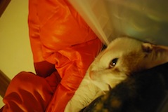 c0189894_0165391.jpg