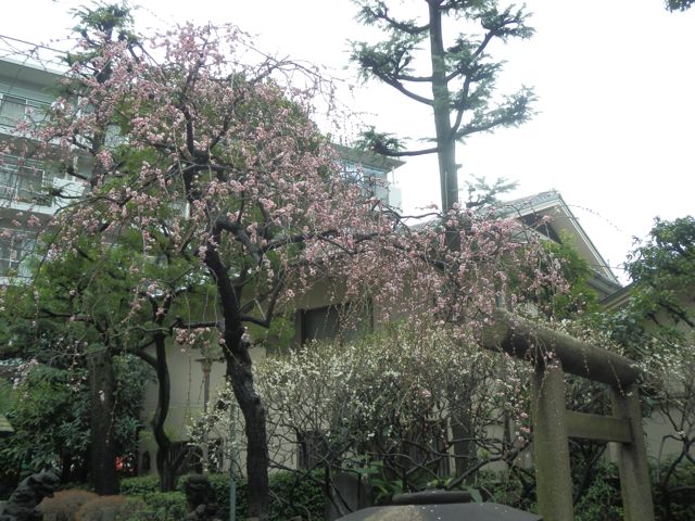 f0130894_2217341.jpg
