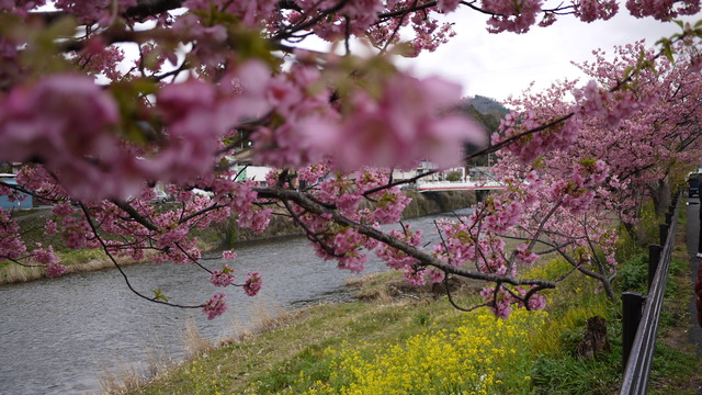 c0133096_18381340.jpg