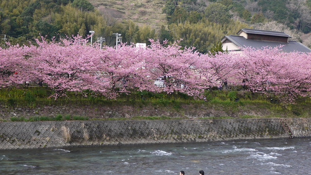 c0133096_1840254.jpg