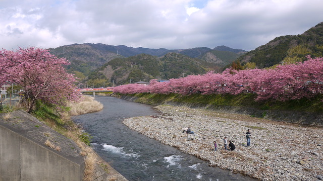 c0133096_18445838.jpg