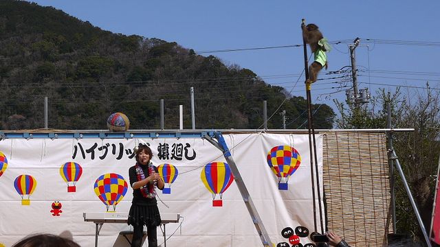 c0133096_18453110.jpg