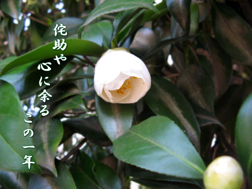 f0137096_23403664.jpg