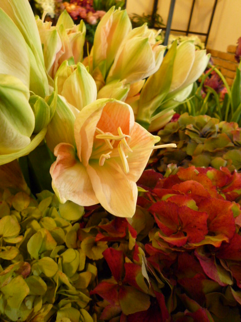 c0220700_16445815.jpg