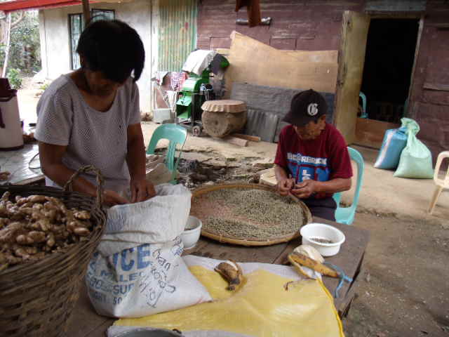 b0128901_11563485.jpg