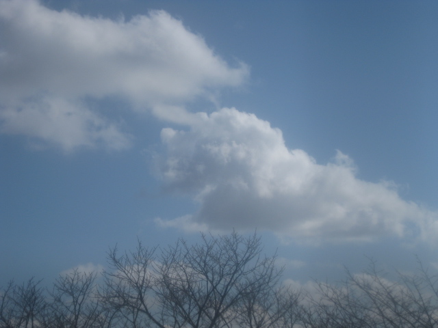 f0236201_1017367.jpg