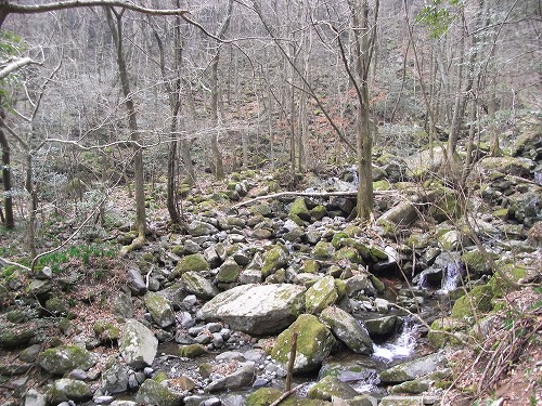 f0187402_2119138.jpg
