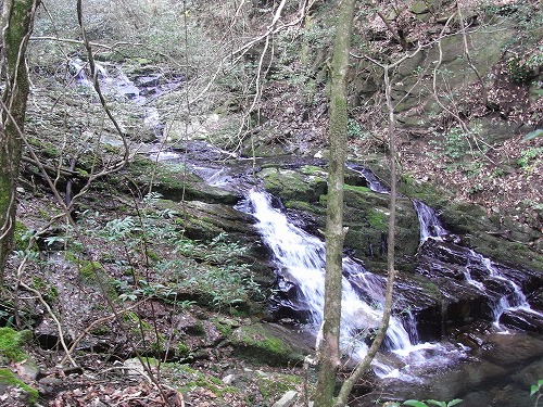 f0187402_21193124.jpg