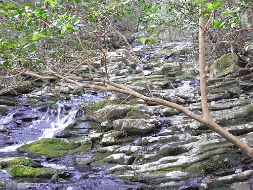 f0187402_21195793.jpg