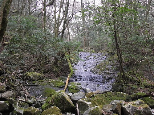f0187402_2120439.jpg