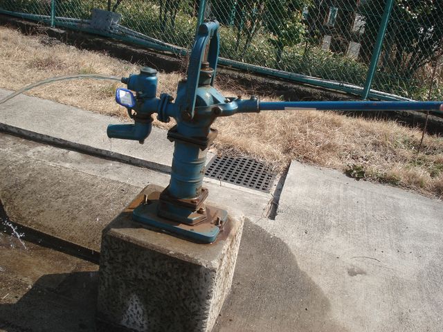 b0148106_229270.jpg
