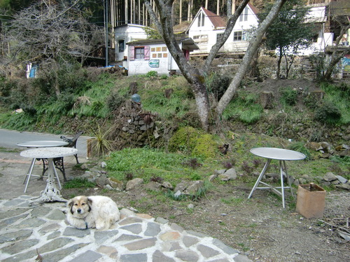b0126408_23435050.jpg