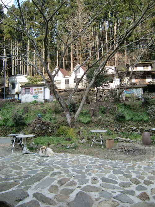 b0126408_2345525.jpg