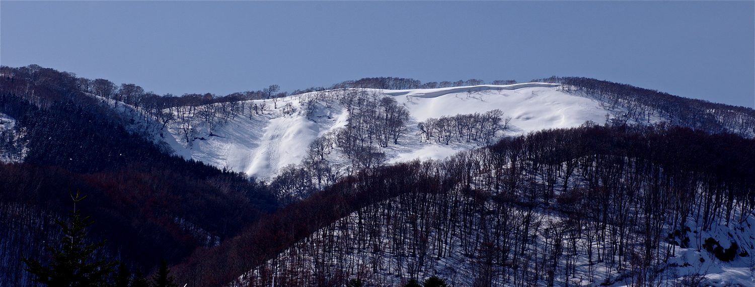 e0142611_1873820.jpg