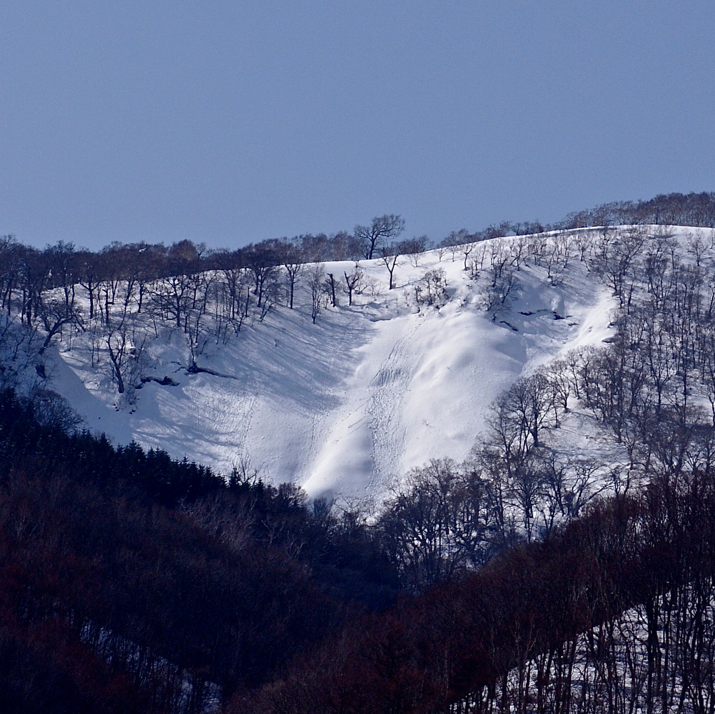 e0142611_1881394.jpg