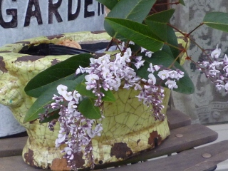 c0167112_208319.jpg