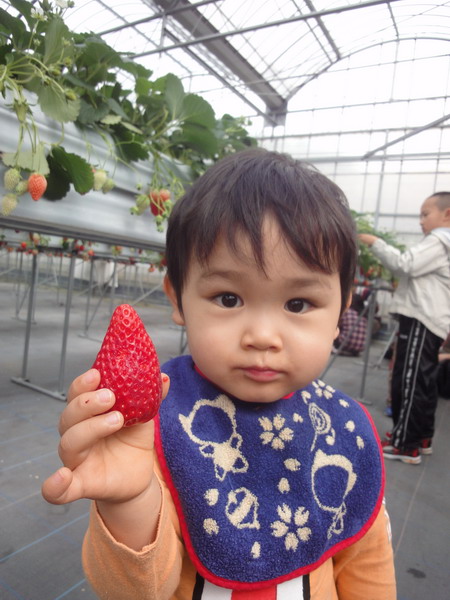 d0004617_1010416.jpg