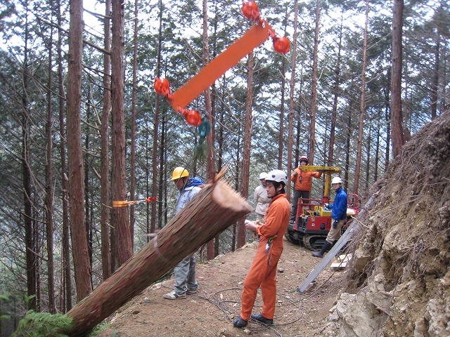 e0002820_10364428.jpg
