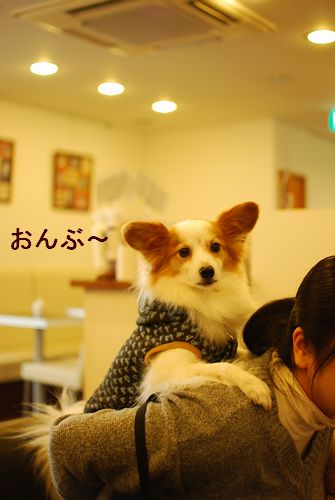 f0214121_116875.jpg