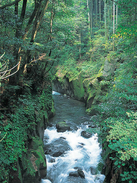 c0239323_3574965.jpg