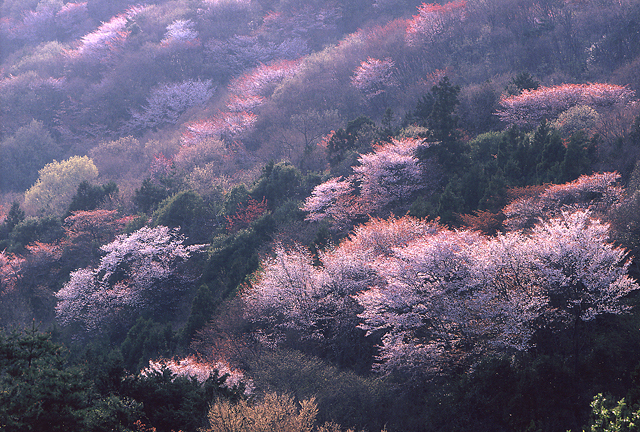 c0239323_844730.jpg