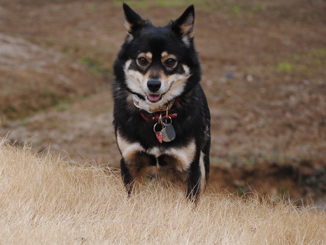 c0039924_20192646.jpg