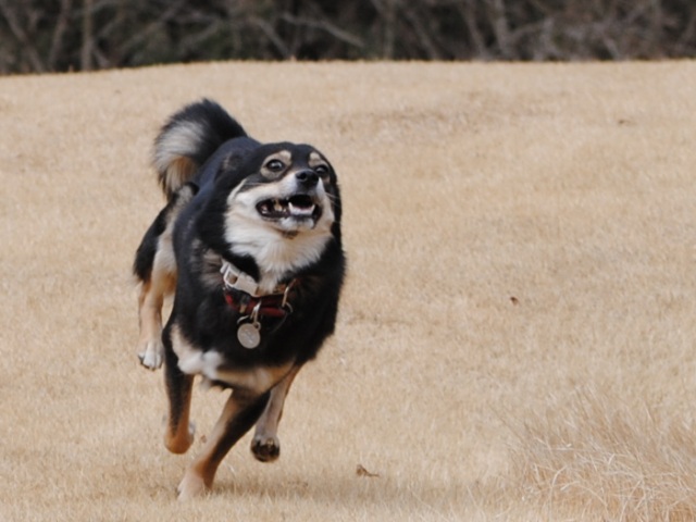 c0039924_2021537.jpg