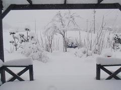 f0022024_22134441.jpg