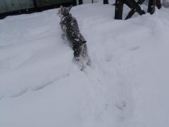 f0022024_22142899.jpg
