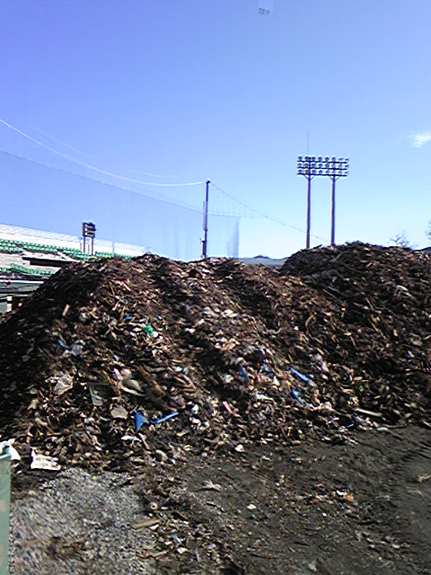 b0008825_2126693.jpg