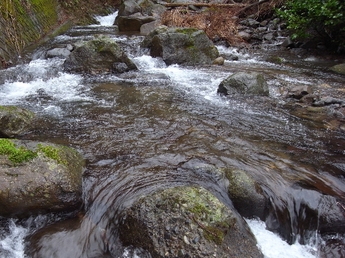 f0103126_2103666.jpg