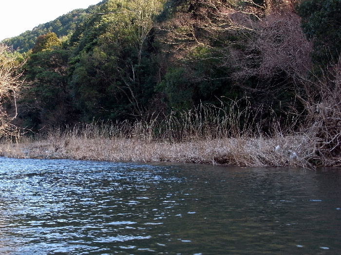 f0103126_21155684.jpg