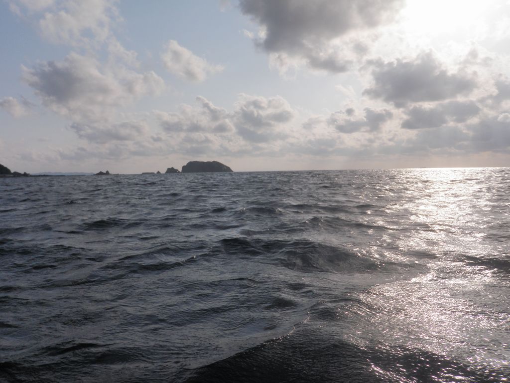 b0173629_20302499.jpg