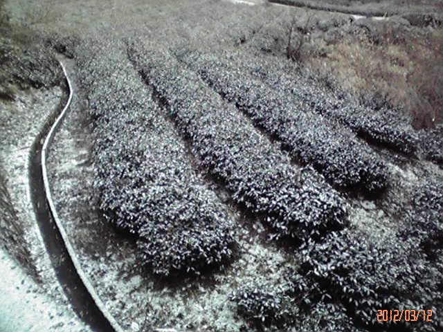 b0222530_9584179.jpg